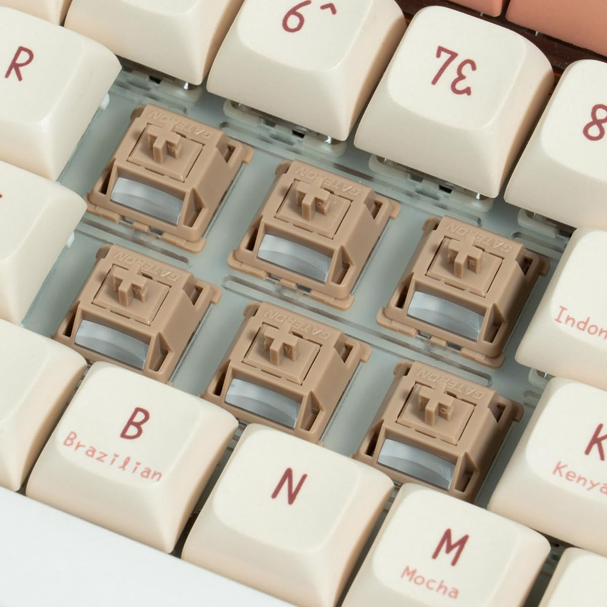 Gateron Chocolate Smoothie Tactile Keyboard Switches, 5 Pin Pre-Lubed 90PCS